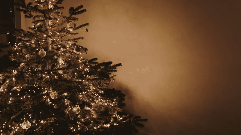 Toulouse : où déposer son sapin après Noël ?