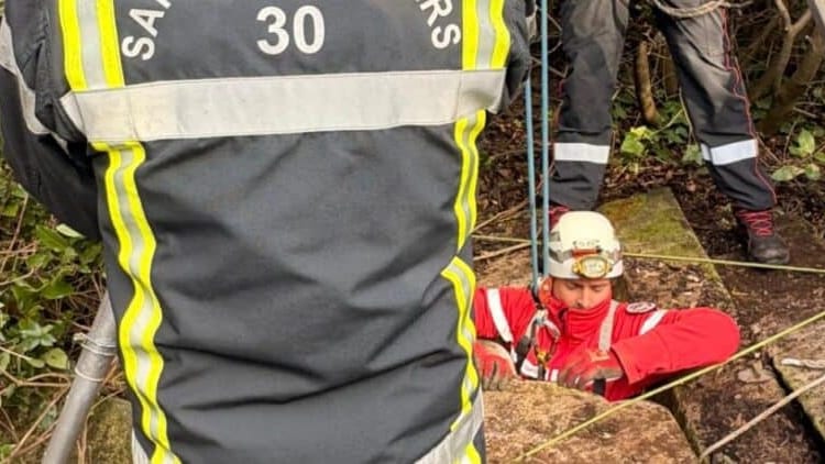 Gard : un chien tombe dans un puits de 10 mètres