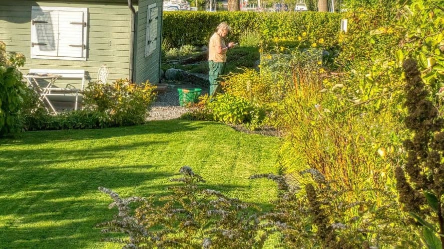 Une femme retrouvée enterrée dans le jardin de son ex-conjoint