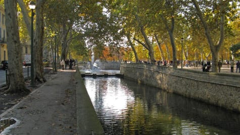 Nîmes : plantation d’arbres sur les quais de la Fontaine, perturbation de la circulation