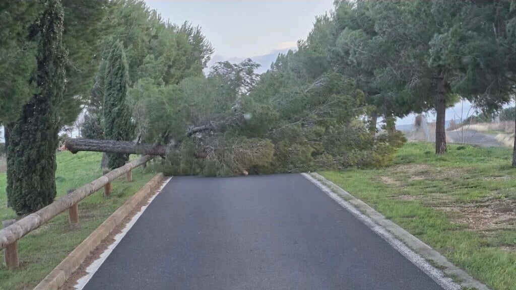 Hérault : tempête Nils, point de situation ce jeudi matin