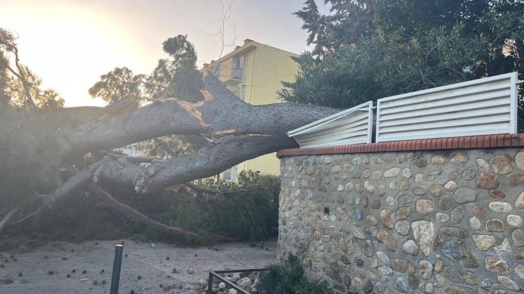 Météo : tempête Nils, les images des dégâts en Occitanie