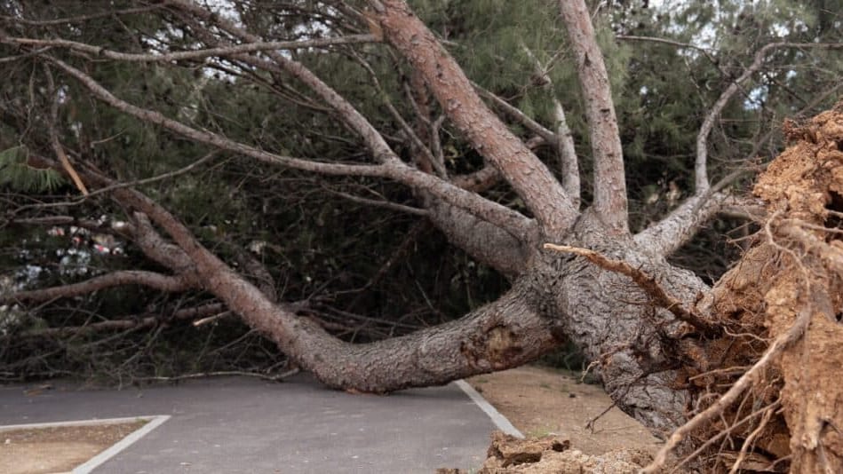 Aude : tempête, neuf accidents, trois personnes en urgence absolue
