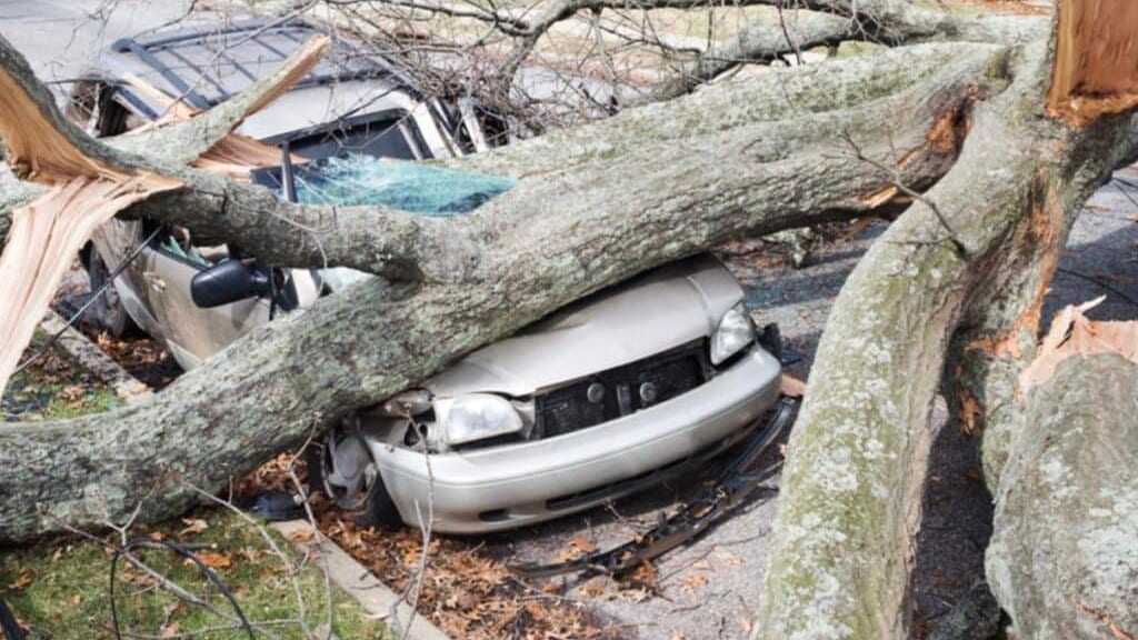 Météo : forte tempête jeudi en Occitanie, risque de nombreux dégâts