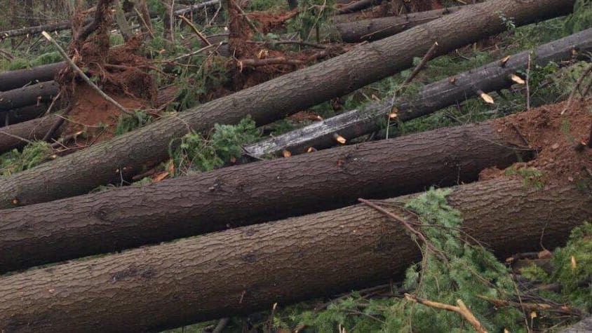 Hérault : fermeture de certains espaces forestiers en raison de « dégâts »