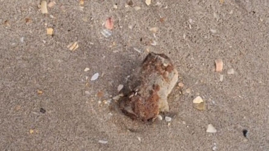 Sète : obus et engins explosifs découverts, une partie de la plage fermée une semaine