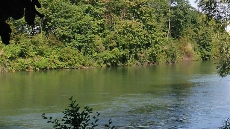 Le corps en décomposition d’une femme repêché dans une rivière
