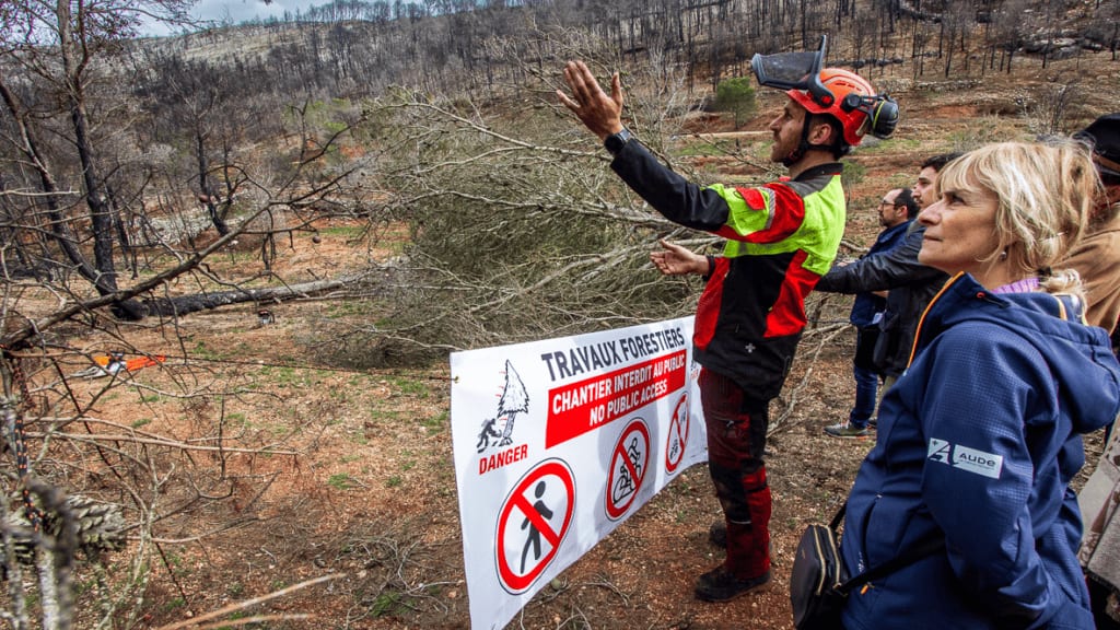 Aude : mégafeu des Corbières, des travaux de bûcheronnage pour sécuriser les sentiers