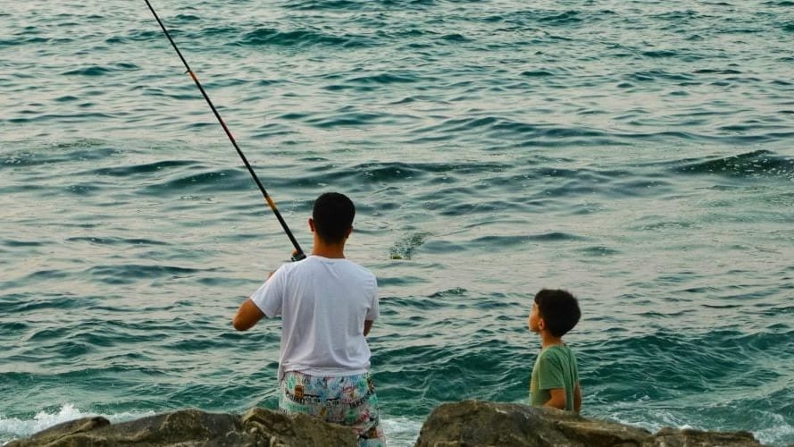 Gard : 5 maquereaux par jour et par pêcheur ? Laurent Burgoa contre-attaque