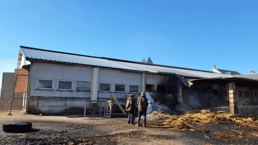 Gard : incendie proche d’un hangar, un troupeau de brebis sauvé