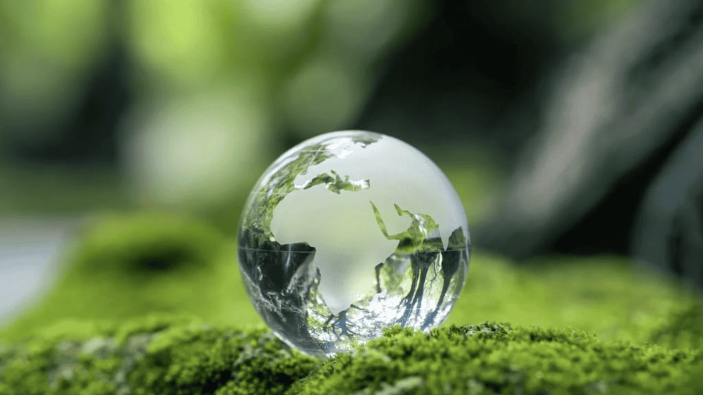 Occitanie : plus de 80 animations pour sensibiliser à l’écologie à l’UPVD