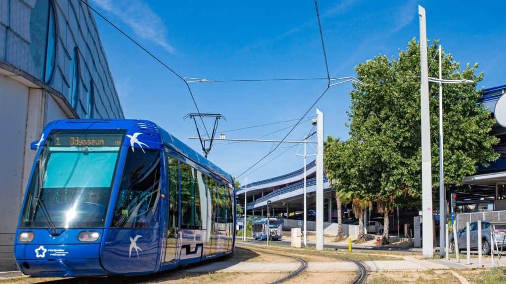 Montpellier : un jeune homme placé en garde à vue après avoir insulté des policiers