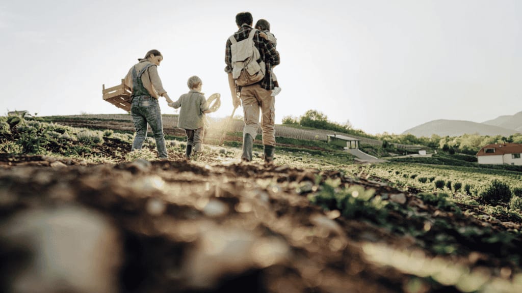 Lunel : des sorties à la ferme pour éveiller la curiosité des tout-petits