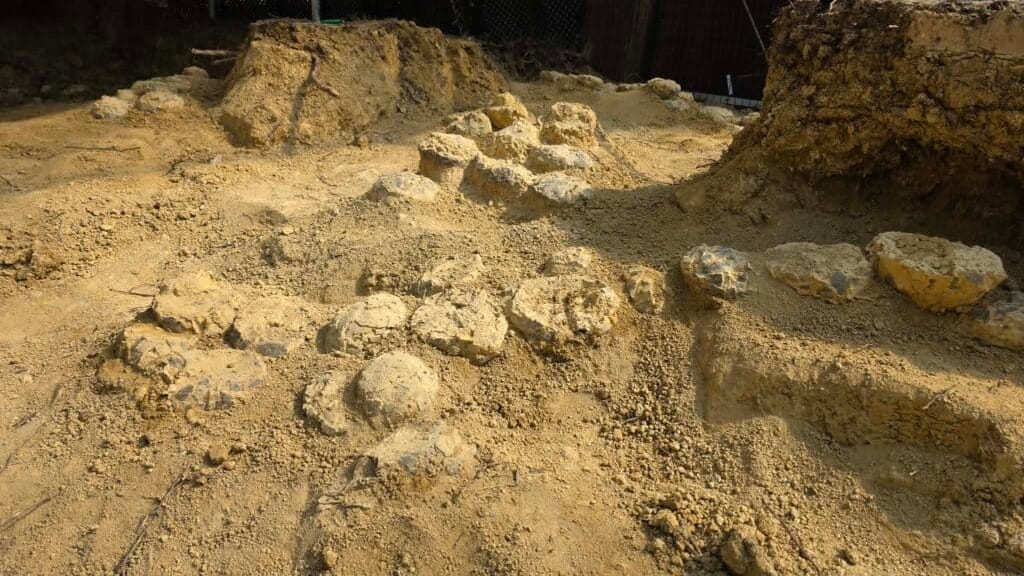 Hérault : plusieurs centaines d’œufs de dinosaures découverts à Mèze