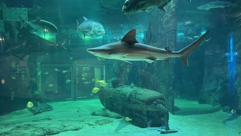 Seaquarium du Grau-du-Roi /