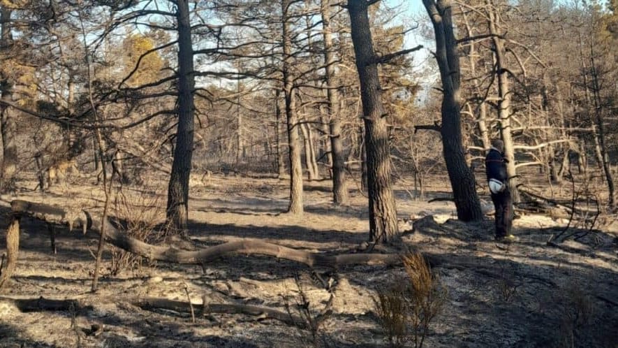 Lozère : un incendie parcourt 13 hectares, une centaine de sapeurs-pompiers mobilisés