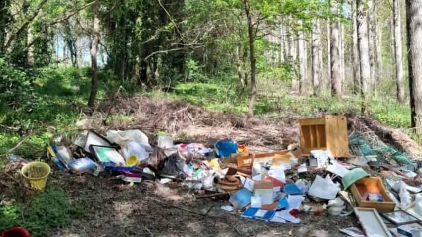 Terre d’Argence : décharge sauvage au coeur d’une forêt, 600 euros d’amende