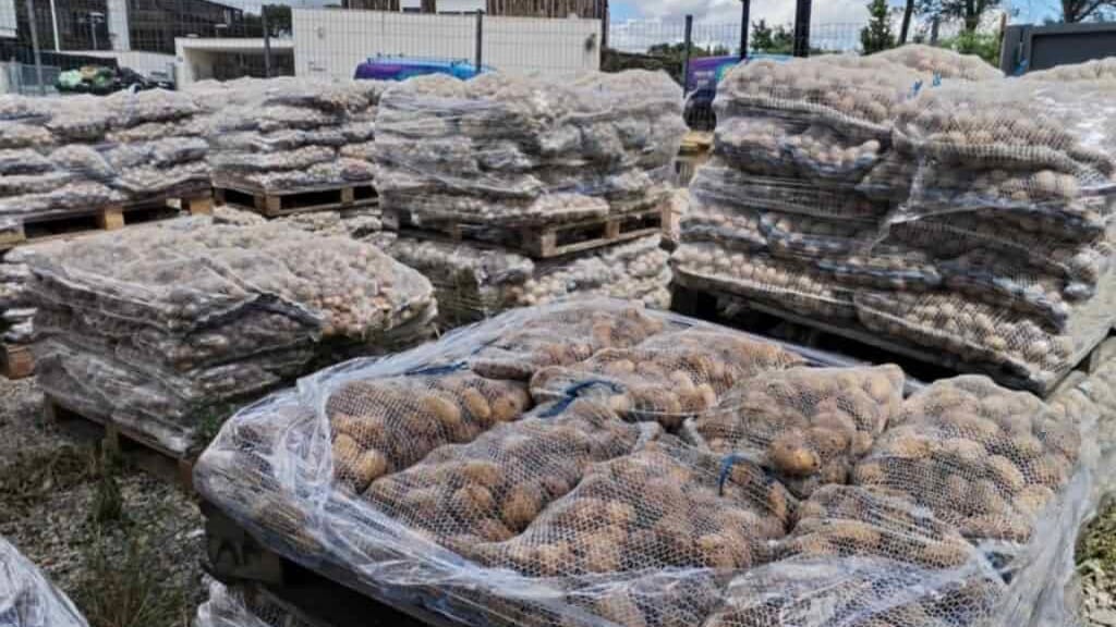 Nîmes : 33 tonnes de pommes de terre redistribuées par Humanîmes en partenariat avec la Table Ouverte
