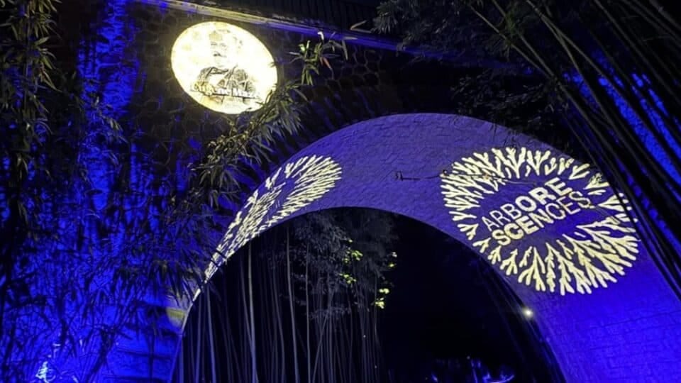 Gard : des nocturnes « exceptionnelles » à la Bambouseraie