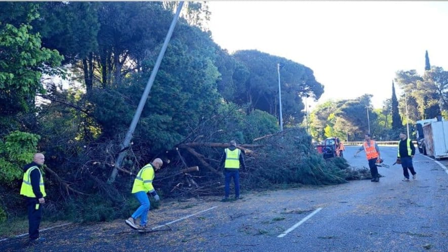 Hérault : intempéries, quatre chutes d’arbres survenues à La Grande Motte