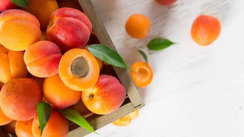 Nîmes : près de deux tonnes de fruits et légumes distribuées par la Table Ouverte