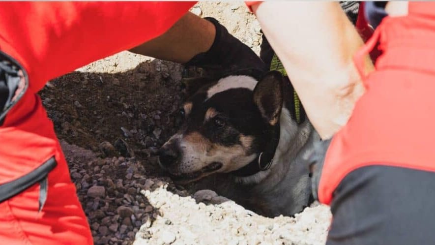 Aude : les sapeurs-pompiers secourent un chien coincé dans une canalisation