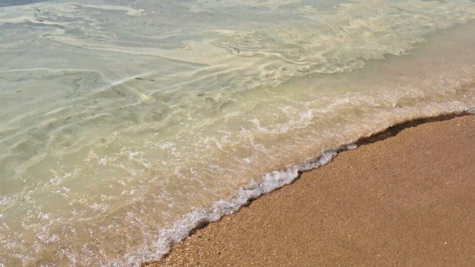 Sète : quelle est cette nappe jaune observée en bord de mer ?