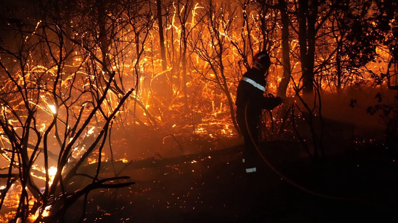 Illustration. Photo Sapeurs-pompiers du Gard / Crédit : Pierre Payan - Incendie à Pujaut
