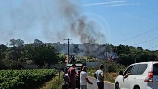 Héraut : un incendie du côté de Saint-Thibéry. Photo feuxdeforet.fr