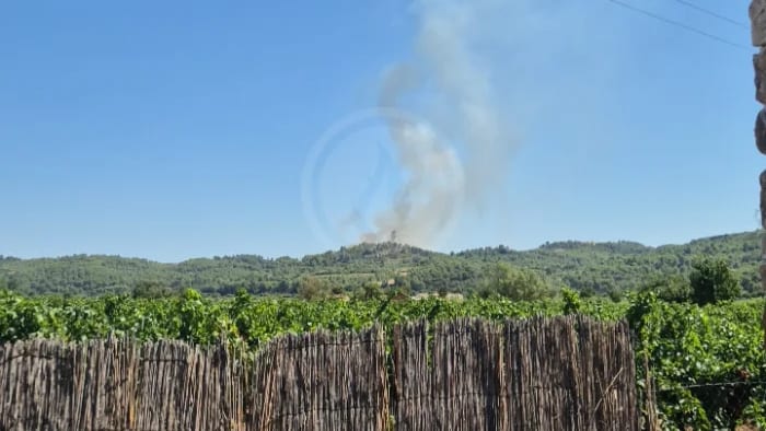 feuxdeforet.fr