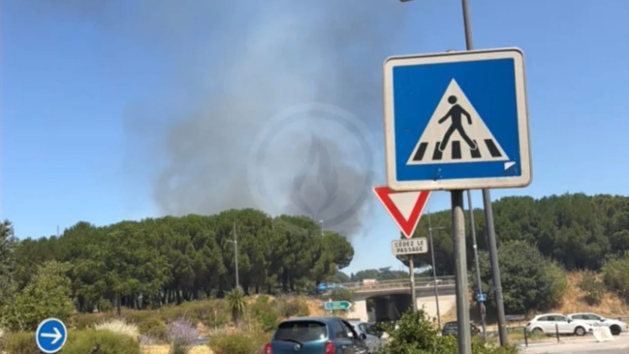 Photo Feuxdeforet.fr