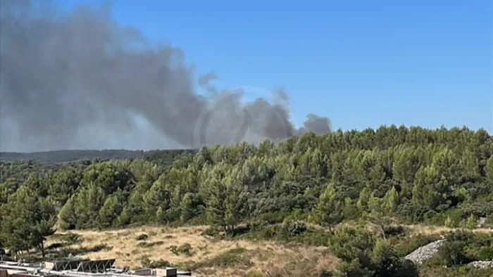 Photo Feuxdeforet.fr