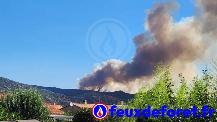 Photo feuxdeforet.fr
