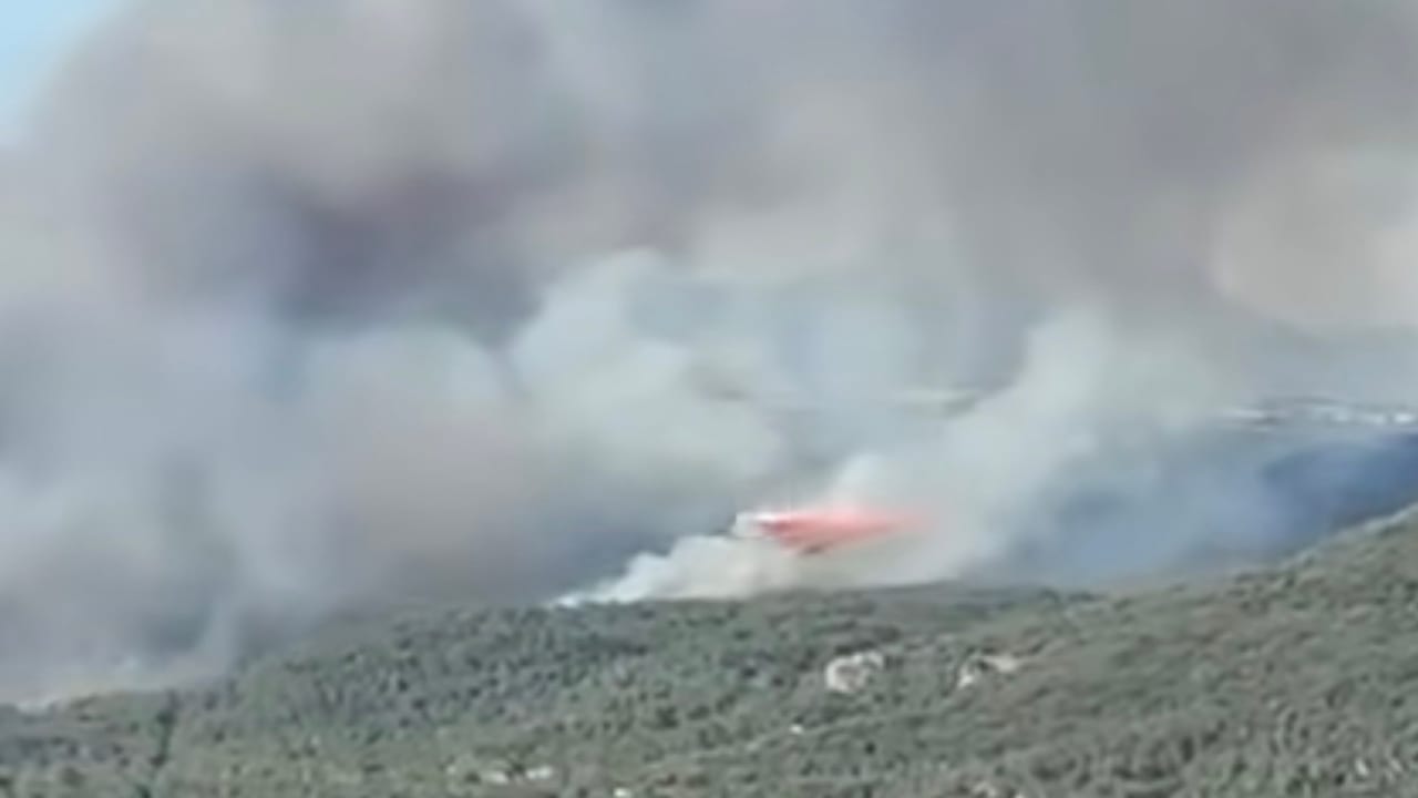 Kazaa Infos - Photo du feu de Carlencas