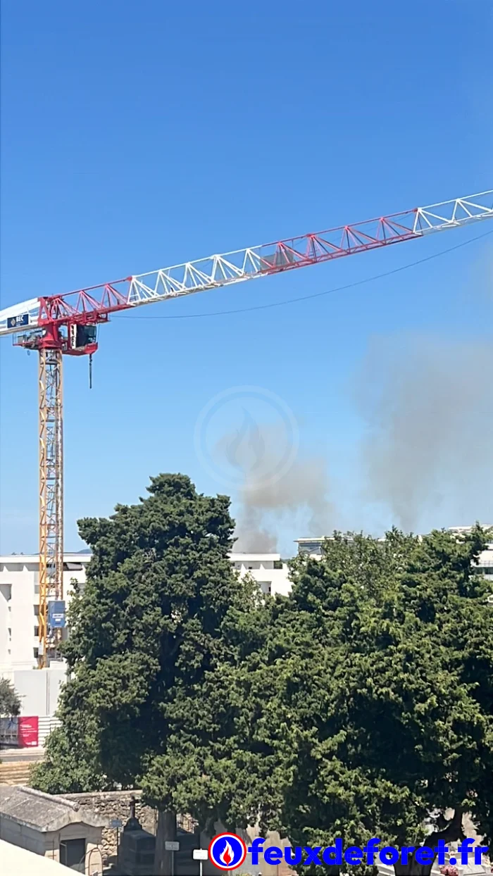 montpellier 08 07 2026 2195 13 55 17275