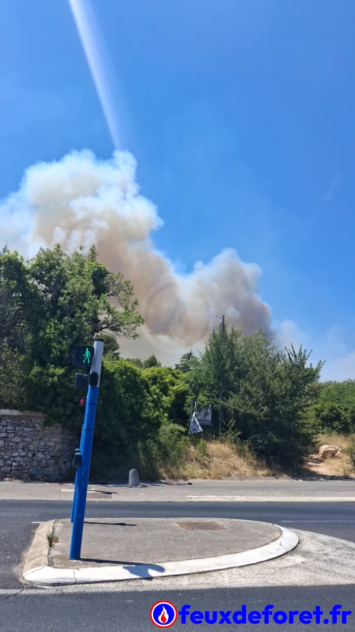 Incendie Montpellier 8 juillet
