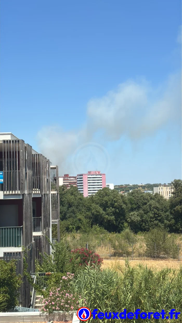 montpellier 08 07 2026 2195 14 23 17383