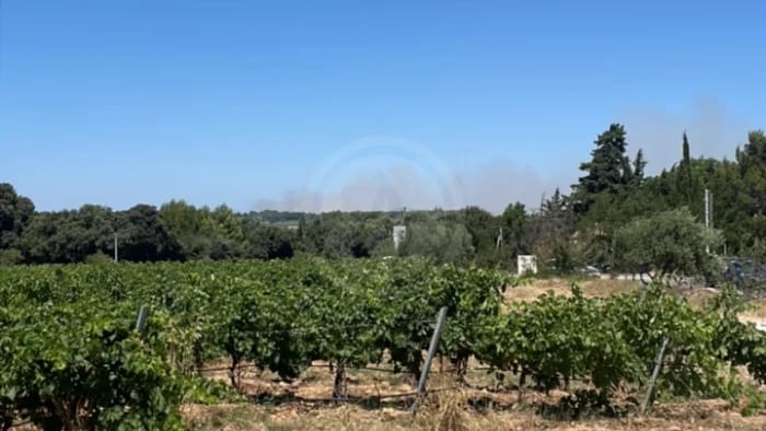 Site internet : Feudeforet.fr