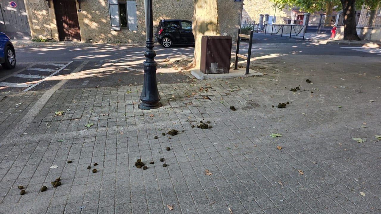 Municipalité de Fons, déjection des chevaux