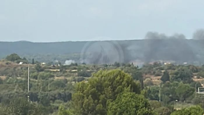 feu de foret Hérault, Villeveyrac, 17 aout 2026. source feuxdeforet.fr