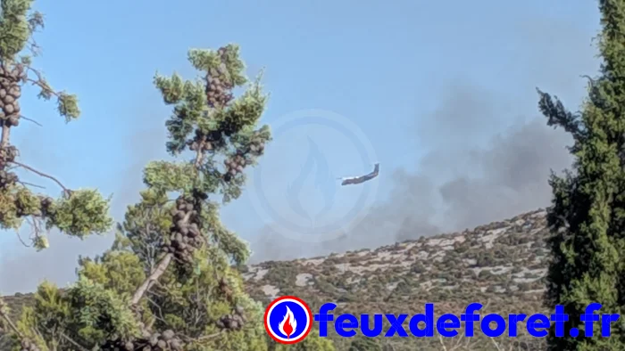 Feux de forêt - Incendie à Opoul-Périllos
