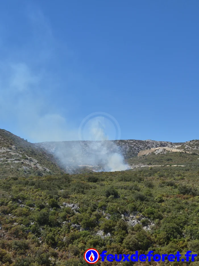Feux de forêt - Incendie Tautavel