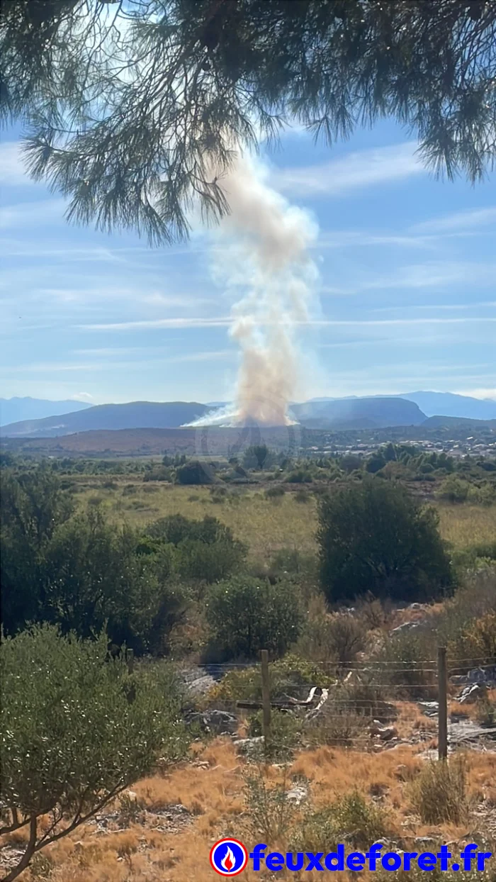 55864fe7 7ec8 Feux de forêt - Incendie à Opoul-Périllos8dd5 928fd44646fd