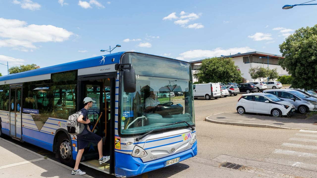 Les horaires de trois lignes de bus modifiées - Crédit photo : TaM Voyages