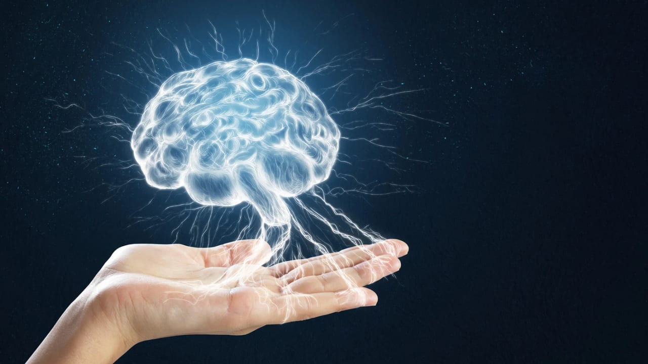 Photo d'illustration - Cerveau