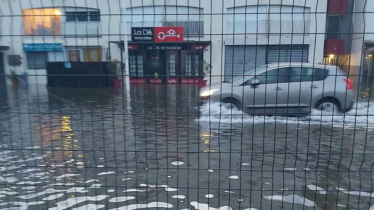 CRÉDIT PHOTO : XAVIER CHAMPAINNE GROUPE FACEBOOK J'AIME LE GRAU DU ROI